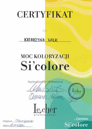 icona referencji